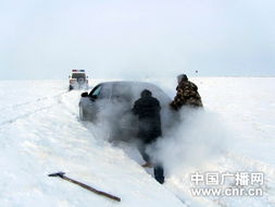 内蒙古呼伦贝尔持续低温 导致上千牧民受灾 图